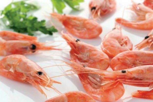 Bioplástico feito de cascas de camarão nutre solo após descarte Bioplástico feito de cascas de camarão nutre solo após descarte
